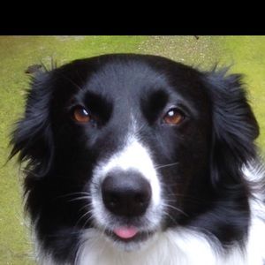 Meet your Posher, Barry